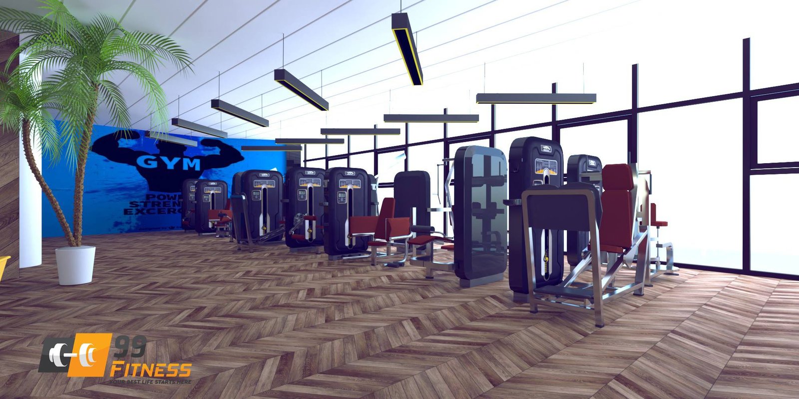 Thiết kế 3D setup mở phòng tập gym