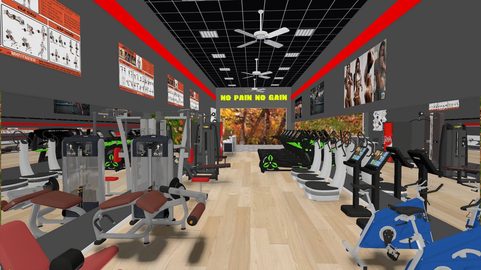 Hình ảnh mô phỏng setup phòng tập gym